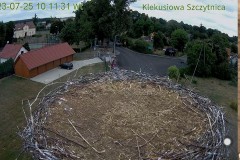 2023-07-25 10_12_17-Klekusiowo – Ośrodek Rehabilitacji Dzikich Zwierząt – Maxthon.jpg