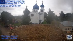 2023-07-30 21_01_10-Gniazdo Bocianie - Telewizja Sokółka [NA ŻYWO] _ IP Camera_ Stork's nest [LIVE] .jpg