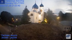 2023-07-30 21_02_31-Gniazdo Bocianie - Telewizja Sokółka [NA ŻYWO] _ IP Camera_ Stork's nest [LIVE] .jpg