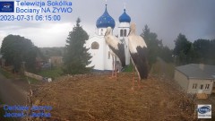 2023-07-31 10_48_12-Gniazdo Bocianie - Telewizja Sokółka [NA ŻYWO] _ IP Camera_ Stork's nest [LIVE] .jpg