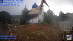 2023-08-03 20_25_03-Gniazdo Bocianie - Telewizja Sokółka [NA ŻYWO] _ IP Camera_ Stork's nest [LIVE] .jpg