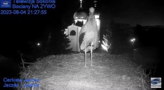 2023-08-04 21_36_09-Gniazdo Bocianie - Telewizja Sokółka [NA ŻYWO] _ IP Camera_ Stork's nest [LIVE] .jpg