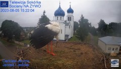 2023-08-05 20_51_31-Gniazdo Bocianie - Telewizja Sokółka [NA ŻYWO] _ IP Camera_ Stork's nest [LIVE] .jpg