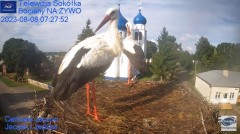 2023-08-08 15_58_08-Gniazdo Bocianie - Telewizja Sokółka [NA ŻYWO] _ IP Camera_ Stork's nest [LIVE] .jpg