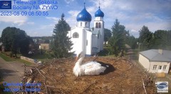 2023-08-09 19_37_15-Gniazdo Bocianie - Telewizja Sokółka [NA ŻYWO] _ IP Camera_ Stork's nest [LIVE] .jpg