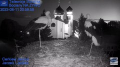 2023-08-11 21_16_26-Gniazdo Bocianie - Telewizja Sokółka [NA ŻYWO] _ IP Camera_ Stork's nest [LIVE] .jpg