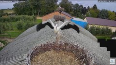 2023-09-14 20_26_36-Kozubszczyzna - gniazda na stodole - YouTube – Maxthon.jpg