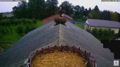 2023-10-07 20_03_04-Kozubszczyzna - gniazda na stodole - YouTube – Maxthon.jpg