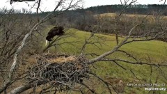 2023-11-20 22_30_54-Decorah Eagles - North Nest powered by EXPLORE.org - YouTube – Maxthon.jpg