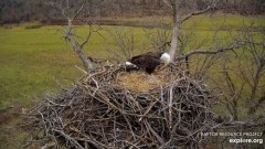 2023-11-20 22_31_13-Decorah Eagles - North Nest powered by EXPLORE.org - YouTube – Maxthon.jpg