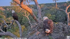 2023-11-28 16_19_42-YouTube - NEFL Cam 1 - Live Bald Eagle Cam - YouTube.jpg