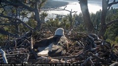 2024-03-10 20_00_48-Big Bear Bald Eagle Live Nest - Cam 1 - YouTube – Maxthon.jpg