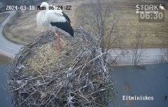 2024-03-18 21_50_10-Stork webcam - Heritage Timber Sash Windows – Maxthon.jpg