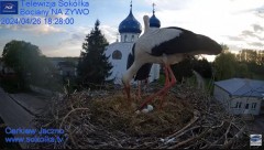 2024-04-26 21_01_39-Gniazdo Bocianie - Telewizja Sokółka [NA ŻYWO] _ IP Camera_ Stork's nest [LIVE] .jpg