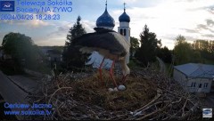 2024-04-26 21_02_02-Gniazdo Bocianie - Telewizja Sokółka [NA ŻYWO] _ IP Camera_ Stork's nest [LIVE] .jpg