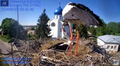 2024-05-02 21_44_02-Gniazdo Bocianie - Telewizja Sokółka [NA ŻYWO] _ IP Camera_ Stork's nest [LIVE] .jpg